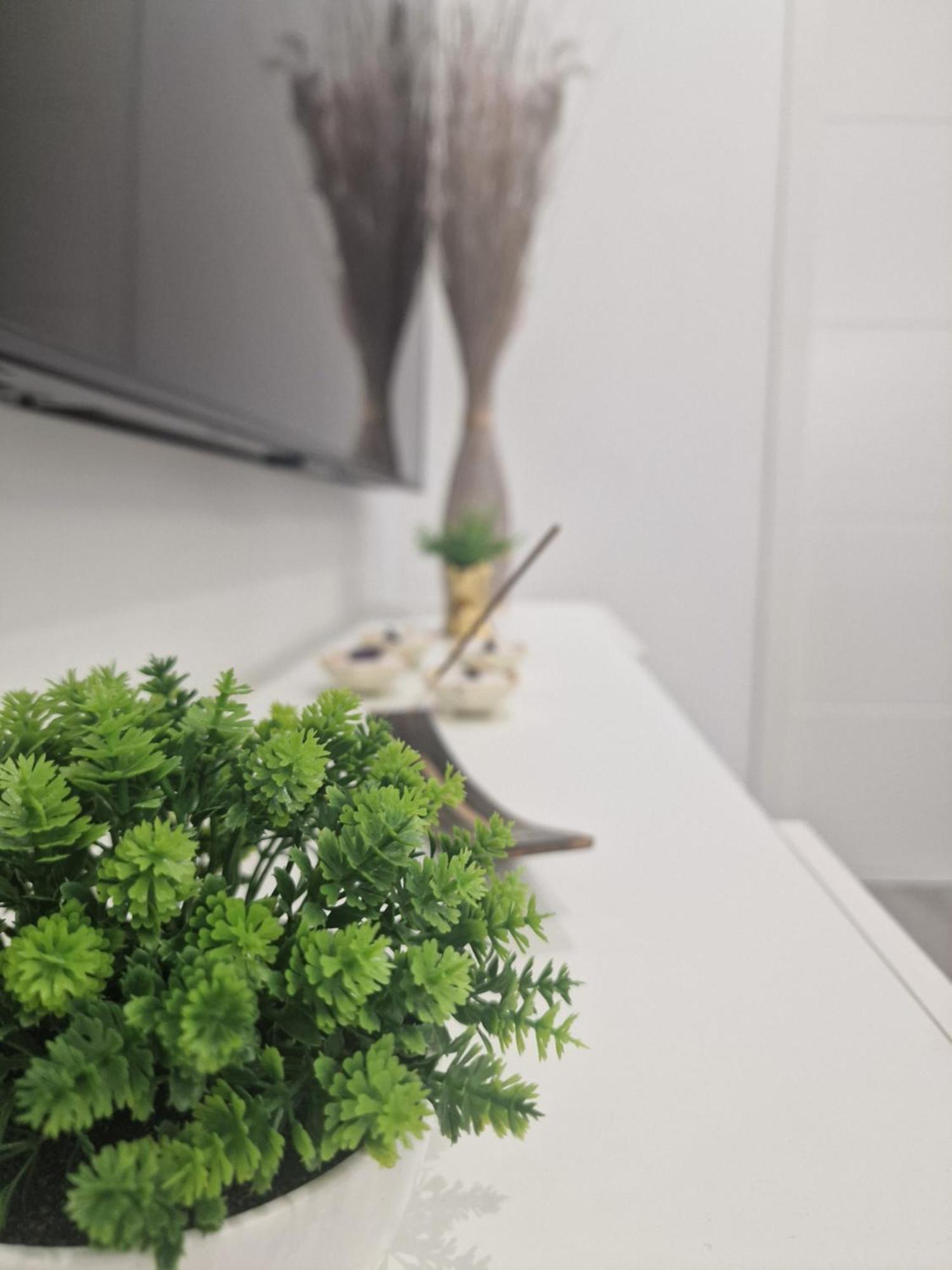 Barcelona, Apartamento De 1 Habitacion Appartement L'Hospitalet de Llobregat Buitenkant foto
